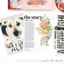Load image into Gallery viewer, Here's The Story 4x6 Stamp Set