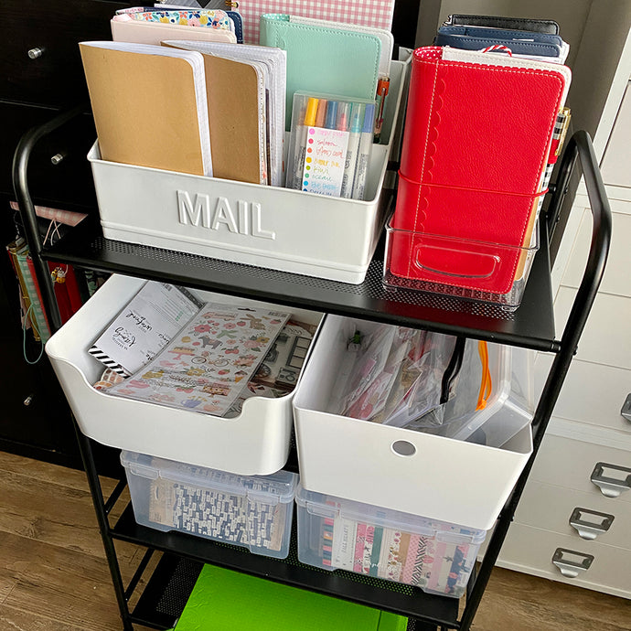 Rolling Cart Storage