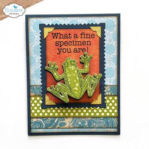 Elizabeth Craft Designs | 6x8 Beetles & Bugs Stamp & Die Set