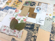 Load image into Gallery viewer, Botany and Nature Ephemera Pack for Junk Journaling