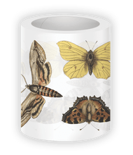 Load image into Gallery viewer, Rongrong | Vintage Butterfly Pre-cut PET Tape