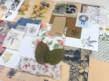 Load image into Gallery viewer, Botany and Nature Ephemera Pack for Junk Journaling