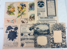 Load image into Gallery viewer, Botany and Nature Ephemera Pack for Junk Journaling