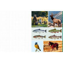 Load image into Gallery viewer, Cut &amp; Collage | National Parks Book