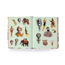 Load image into Gallery viewer, Extraordinary Things Sticker Book