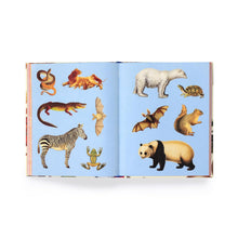 Load image into Gallery viewer, Extraordinary Things Sticker Book