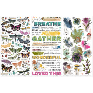 49 and Market | Vicki Boutin Curiosities in Willow Grove - Essential Rub-On Transfers