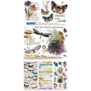 49 and Market | Vicki Boutin Curiosities in Willow Grove - Essential Rub-On Transfers