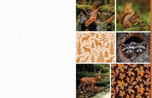 Load image into Gallery viewer, Cut &amp; Collage | Woodland Creatures Book