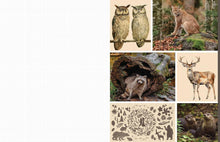 Load image into Gallery viewer, Cut &amp; Collage | Woodland Creatures Book