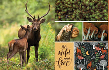 Load image into Gallery viewer, Cut &amp; Collage | Woodland Creatures Book