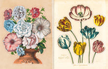 Load image into Gallery viewer, John Derian Sticker Book