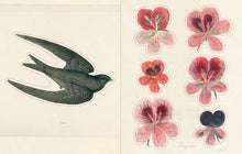 Load image into Gallery viewer, John Derian Sticker Book