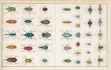Load image into Gallery viewer, John Derian Sticker Book
