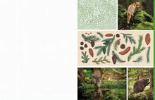 Load image into Gallery viewer, Cut &amp; Collage | Woodland Creatures Book
