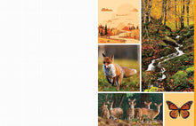 Load image into Gallery viewer, Cut &amp; Collage | Woodland Creatures Book