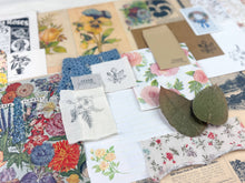 Load image into Gallery viewer, Botany and Nature Ephemera Pack for Junk Journaling