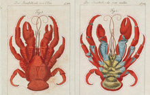 Load image into Gallery viewer, John Derian Sticker Book
