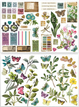 Load image into Gallery viewer, Arden Creative Studio | Garden Chronicles - Laser Cuts