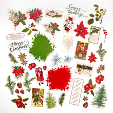 Load image into Gallery viewer, 49 &amp; Market | Evergreen Season - Acetate Assortment