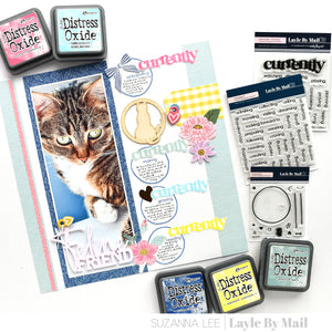 In the Circle Stamp and Metal Die Bundle