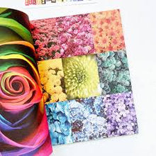 Load image into Gallery viewer, Pipsticks | Rainbow Vision Collage Magazine