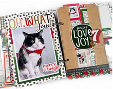 Load image into Gallery viewer, Pack of 10 Kraft Bags with Clear Window