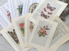Load image into Gallery viewer, Vintage Printed Book Pages for Junk Journaling and Collage