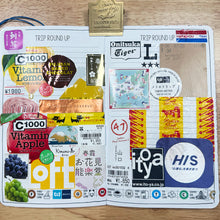 Load image into Gallery viewer, Layle By Mail | Document Your Travels Standard Wide Inserts