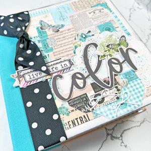 Live Life in Color Mini Book Project Kit