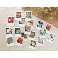 Instant Photo Stickers - Flowers