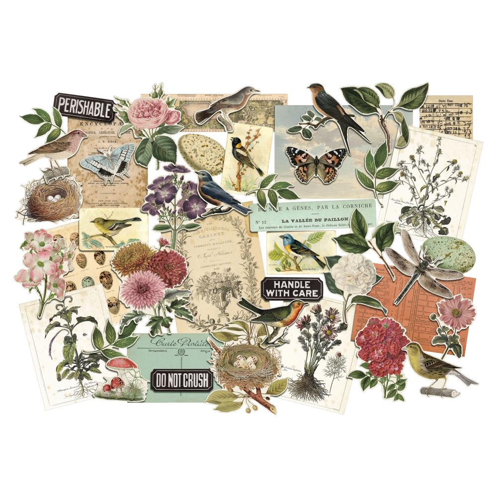 Tim Holtz Idea-ology Organic Layers Die Cut Ephemera